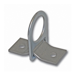 00360 - Guardian D-Ring 2 Hole Anchor Plate