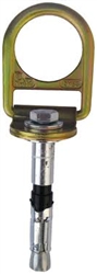 2190055 - 3M Protecta Concrete D-Ring Anchor Bolt