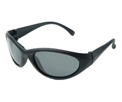 Radians CB0120ID