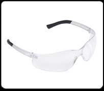 EL10ST - Cordova Dane Clear Anti-Fog Lens Glasses